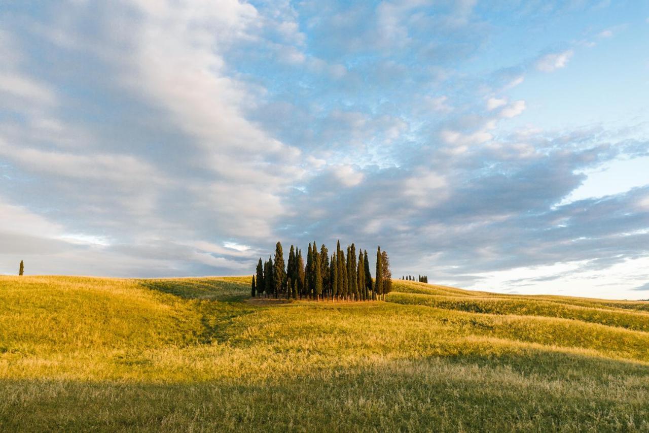 Апартаменты Casa Franci Contignano Экстерьер фото